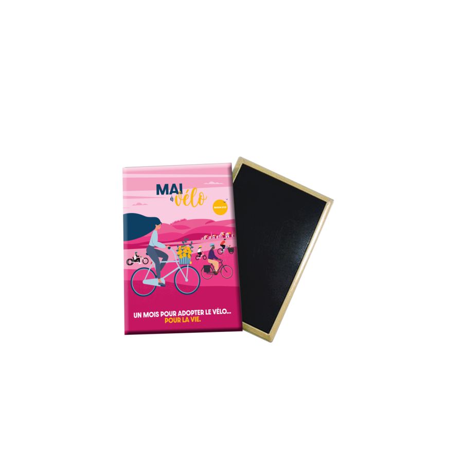 Magnet